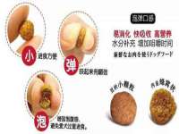 云霄县圣之杰网络技术服务部
