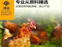 云霄县圣之杰网络技术服务部