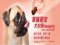 云霄县圣之杰网络技术服务部