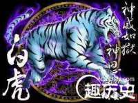 云霄县圣之杰网络技术服务部