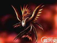 云霄县圣之杰网络技术服务部