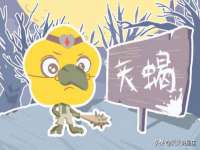 云霄县圣之杰网络技术服务部