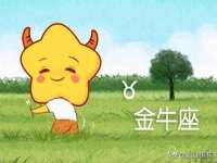 云霄县圣之杰网络技术服务部