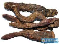 云霄县圣之杰网络技术服务部