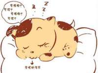 云霄县圣之杰网络技术服务部
