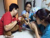 云霄县圣之杰网络技术服务部