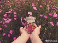 云霄县圣之杰网络技术服务部