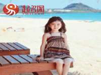云霄县圣之杰网络技术服务部