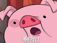 云霄县圣之杰网络技术服务部