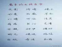 云霄县圣之杰网络技术服务部