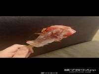 云霄县圣之杰网络技术服务部